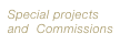 Special projects and  Commissions