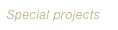 Special projects