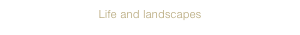 Life and landscapes