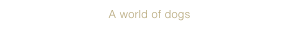 A world of dogs