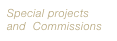 Special projects and  Commissions