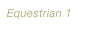 Equestrian 1