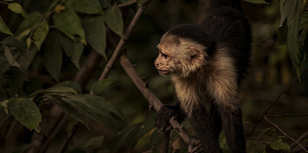 Costa Rica Photography